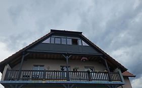 Les Cigognes De Andolsheim