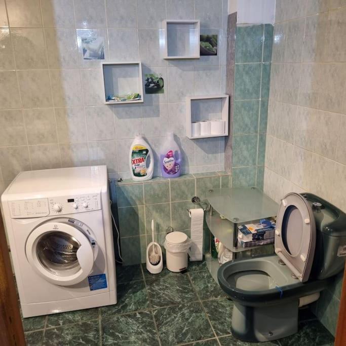 Appartement Les Cigognes De Andolsheim Extérieur photo